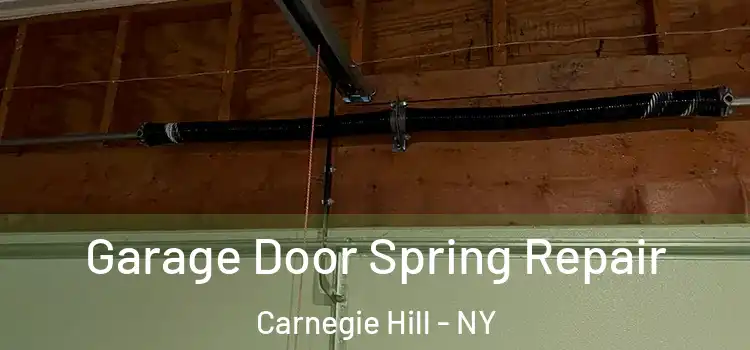  Garage Door Spring Repair Carnegie Hill - NY