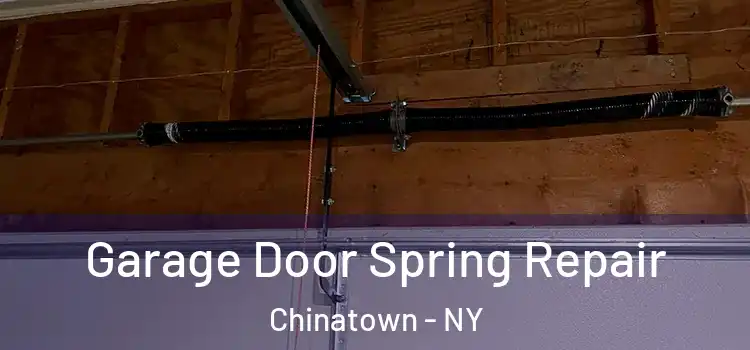  Garage Door Spring Repair Chinatown - NY