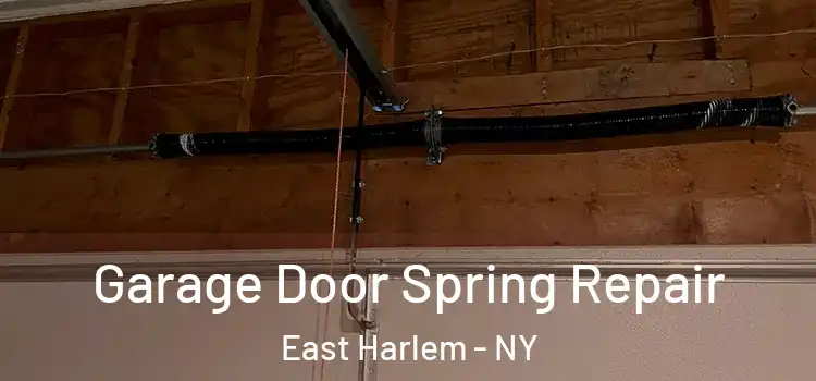  Garage Door Spring Repair East Harlem - NY