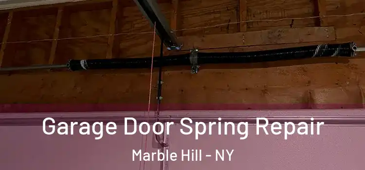  Garage Door Spring Repair Marble Hill - NY