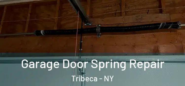  Garage Door Spring Repair Tribeca - NY