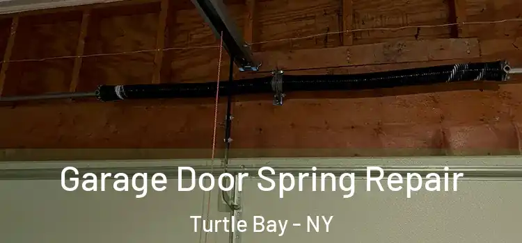  Garage Door Spring Repair Turtle Bay - NY