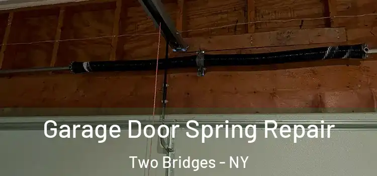  Garage Door Spring Repair Two Bridges - NY