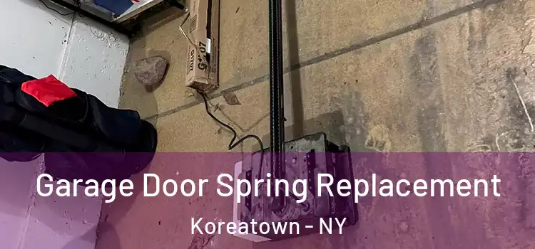  Garage Door Spring Replacement Koreatown - NY