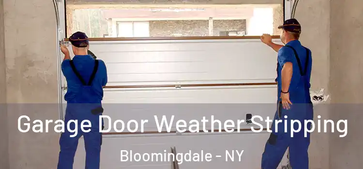  Garage Door Weather Stripping Bloomingdale - NY