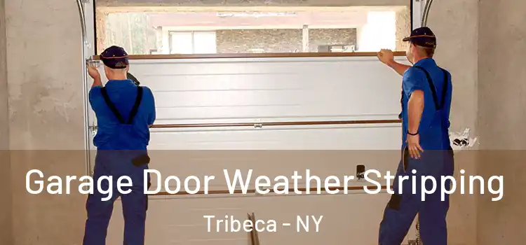  Garage Door Weather Stripping Tribeca - NY