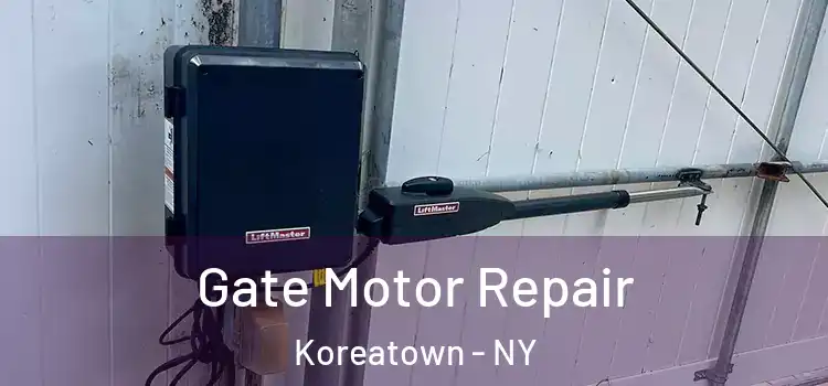 Gate Motor Repair Koreatown - NY