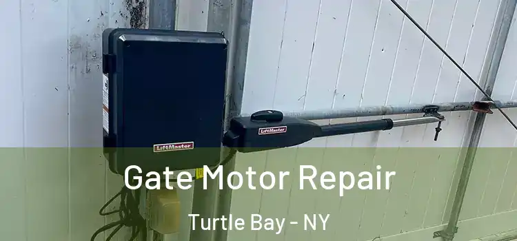 Gate Motor Repair Turtle Bay - NY