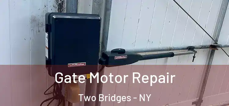 Gate Motor Repair Two Bridges - NY