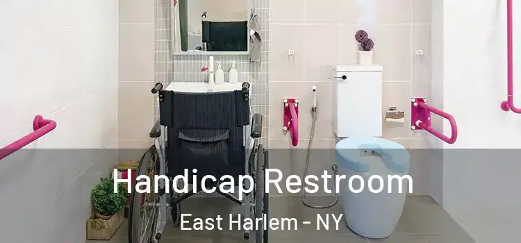 Handicap Restroom East Harlem - NY