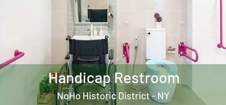 Handicap Restroom NoHo Historic District - NY