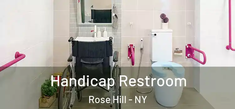 Handicap Restroom Rose Hill - NY