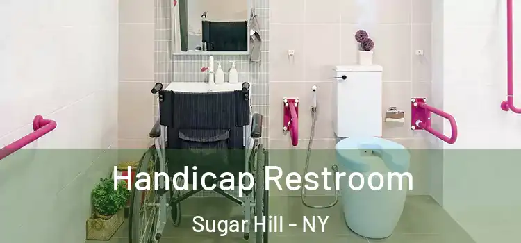 Handicap Restroom Sugar Hill - NY