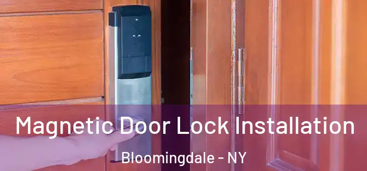  Magnetic Door Lock Installation Bloomingdale - NY
