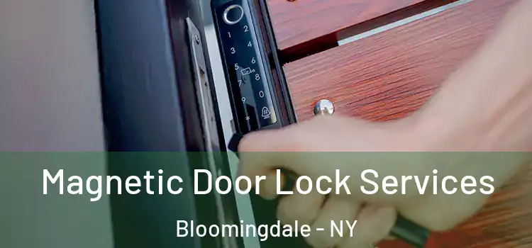 Magnetic Door Lock Services Bloomingdale - NY