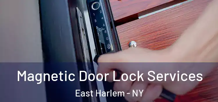 Magnetic Door Lock Services East Harlem - NY