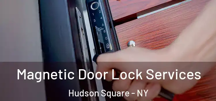  Magnetic Door Lock Services Hudson Square - NY