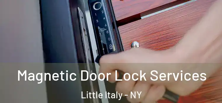 Magnetic Door Lock Services Little Italy - NY