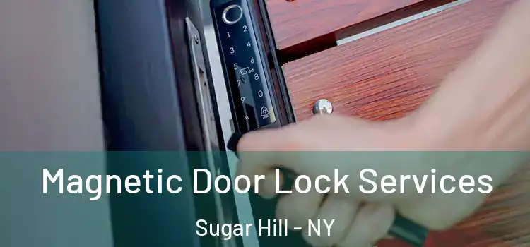 Magnetic Door Lock Services Sugar Hill - NY