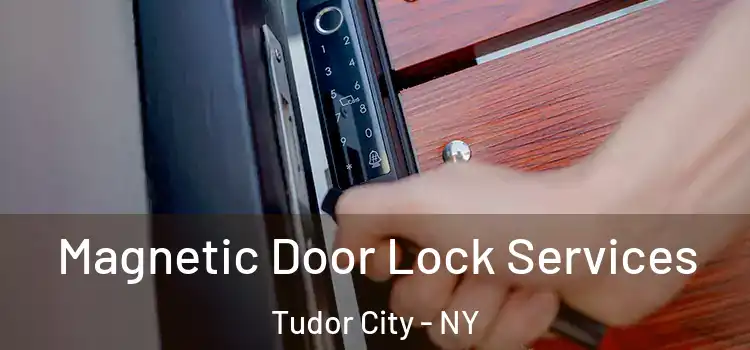 Magnetic Door Lock Services Tudor City - NY