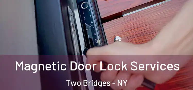 Magnetic Door Lock Services Two Bridges - NY