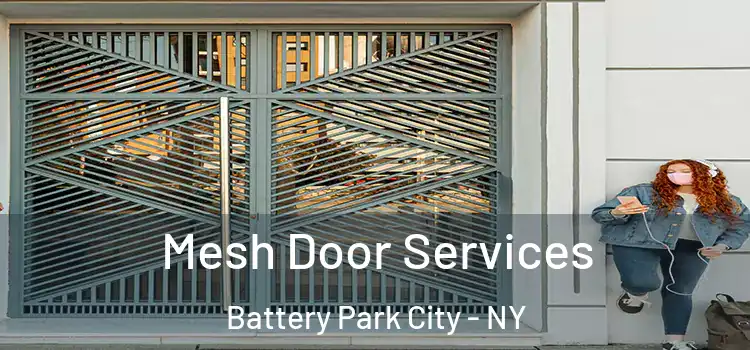 Mesh Door Services Battery Park City - NY
