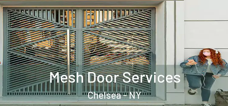 Mesh Door Services Chelsea - NY