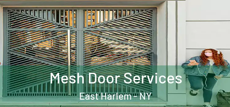 Mesh Door Services East Harlem - NY