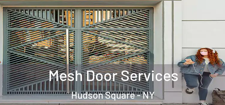 Mesh Door Services Hudson Square - NY