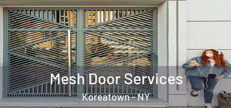  Mesh Door Services Koreatown - NY