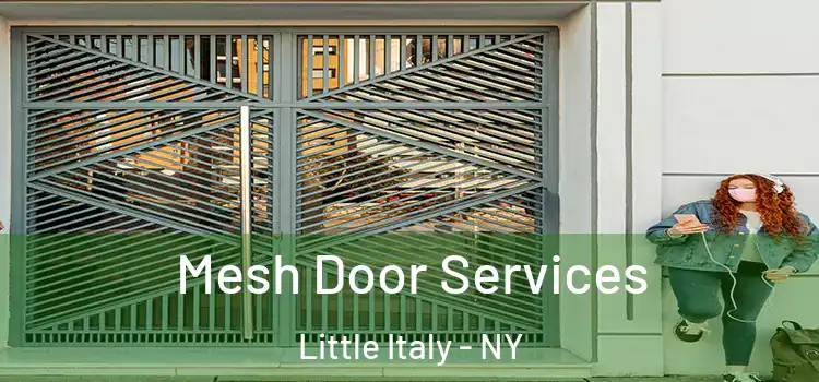 Mesh Door Services Little Italy - NY