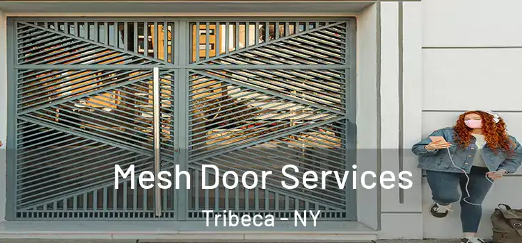  Mesh Door Services Tribeca - NY