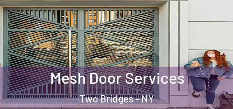  Mesh Door Services Two Bridges - NY