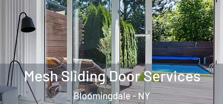  Mesh Sliding Door Services Bloomingdale - NY