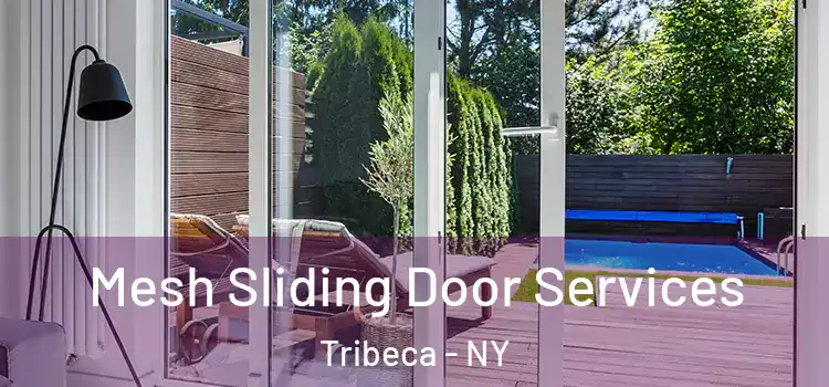 Mesh Sliding Door Services Tribeca - NY