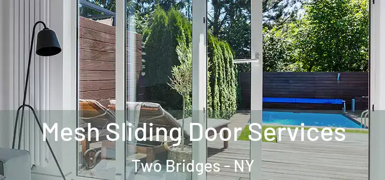 Mesh Sliding Door Services Two Bridges - NY