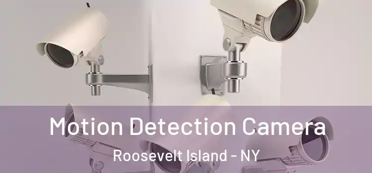  Motion Detection Camera Roosevelt Island - NY