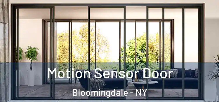  Motion Sensor Door Bloomingdale - NY