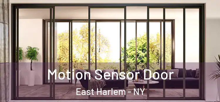 Motion Sensor Door East Harlem - NY
