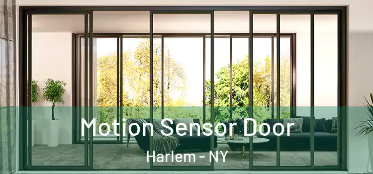 Motion Sensor Door Harlem - NY
