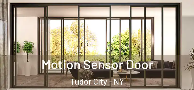  Motion Sensor Door Tudor City - NY