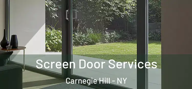  Screen Door Services Carnegie Hill - NY