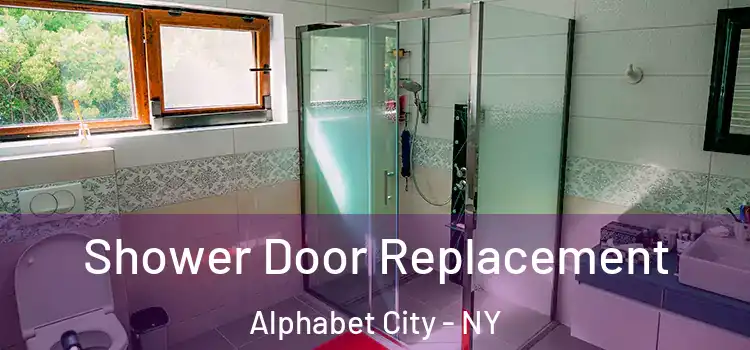 Shower Door Replacement Alphabet City - NY