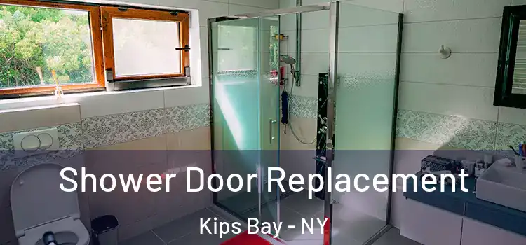  Shower Door Replacement Kips Bay - NY