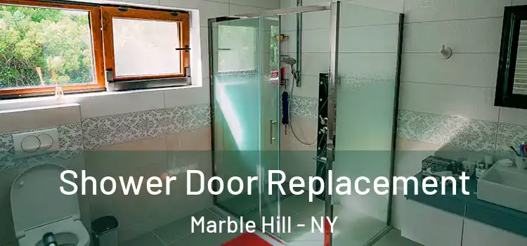 Shower Door Replacement Marble Hill - NY