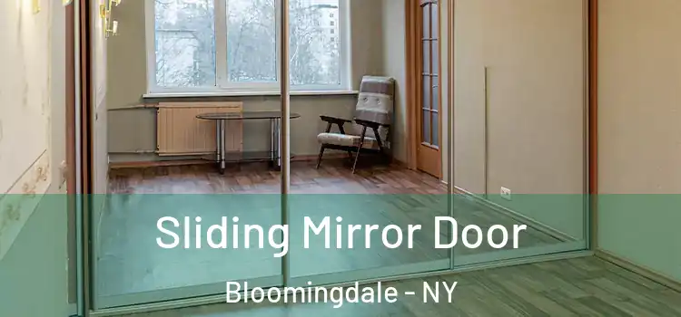  Sliding Mirror Door Bloomingdale - NY