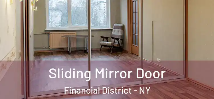  Sliding Mirror Door Financial District - NY