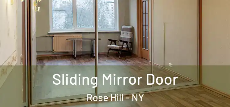  Sliding Mirror Door Rose Hill - NY