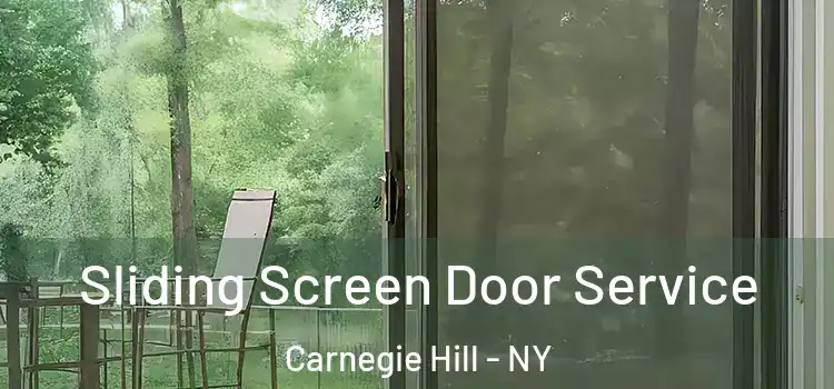 Sliding Screen Door Service Carnegie Hill - NY