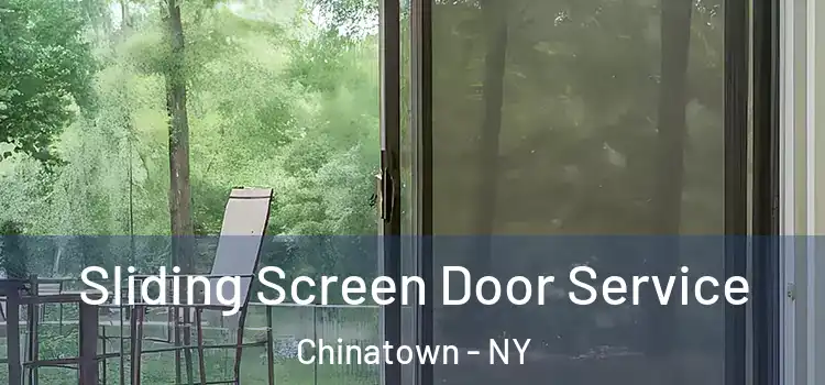 Sliding Screen Door Service Chinatown - NY